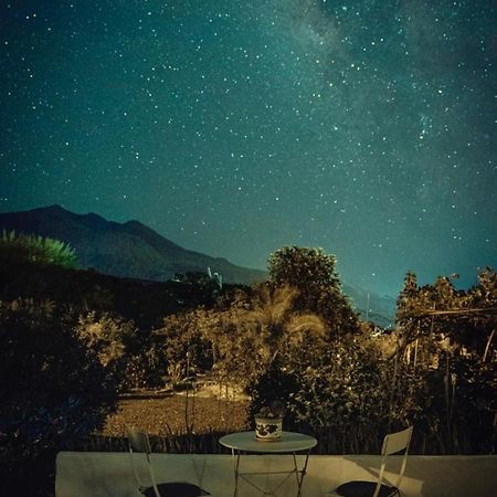 Casita La Rosa Βίλα El Paso Εξωτερικό φωτογραφία