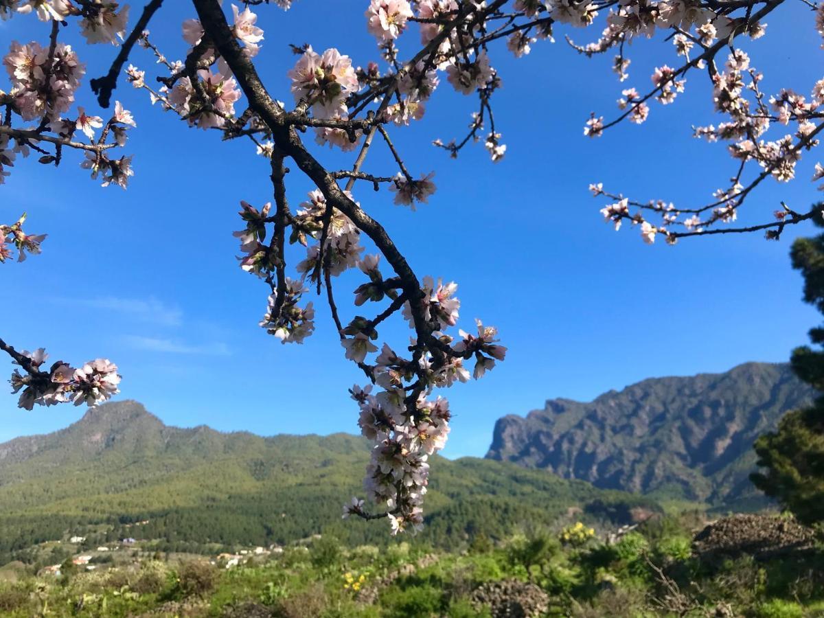 Casita La Rosa Βίλα El Paso Εξωτερικό φωτογραφία